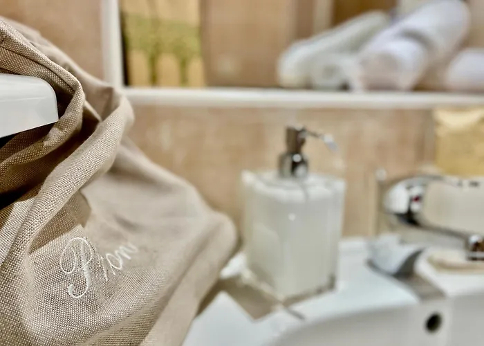 Trulli Duomo Di Calce 公寓 阿尔贝罗贝洛